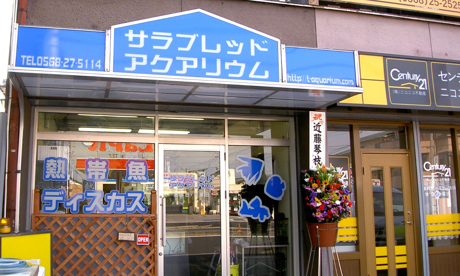 熱帯魚店その1